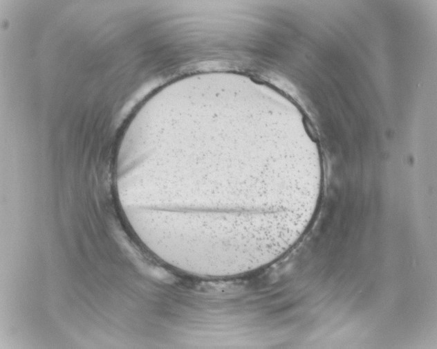 X0000069830297200606161947