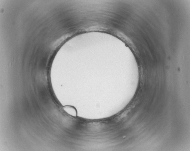 X0000069830298200606161947