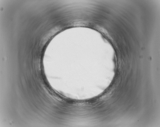 X0000069830299200606161947