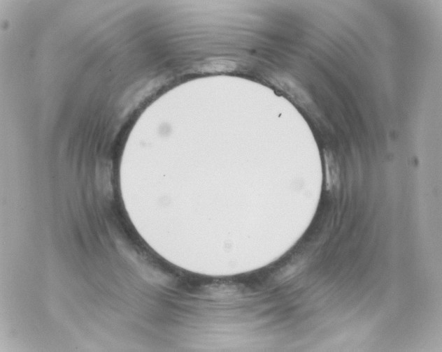 X0000069830300200606161947