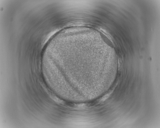 X0000069830301200606161947