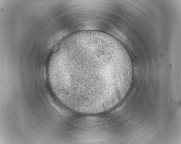 X0000069830302200606161947