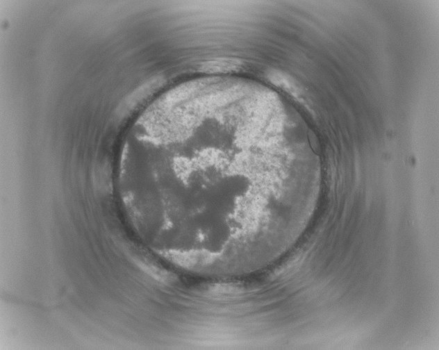 X0000069830303200606161947