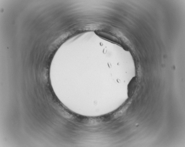 X0000069830305200606161947