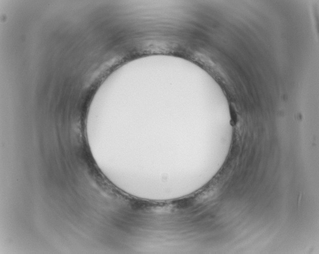 X0000069830306200606161947