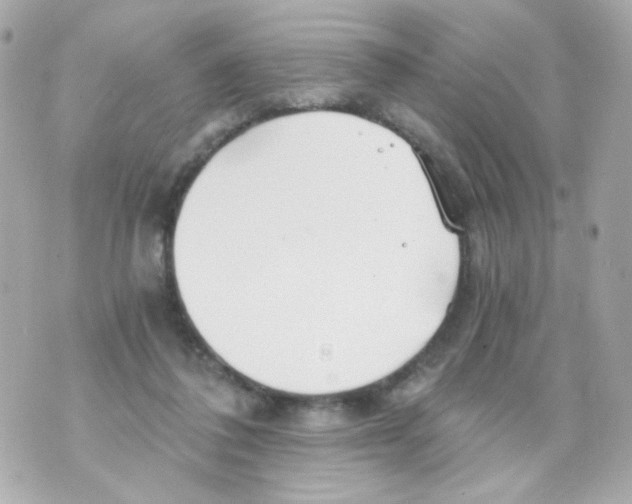 X0000069830308200606161947