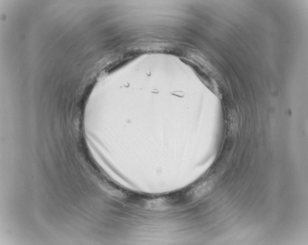 X0000069830309200606161947