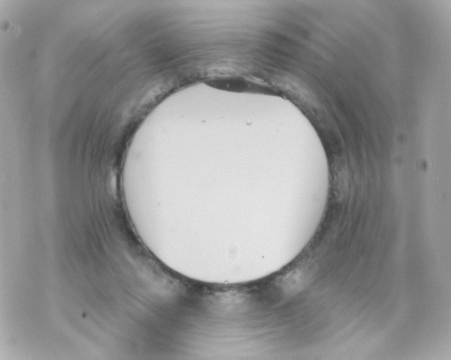 X0000069830310200606161947