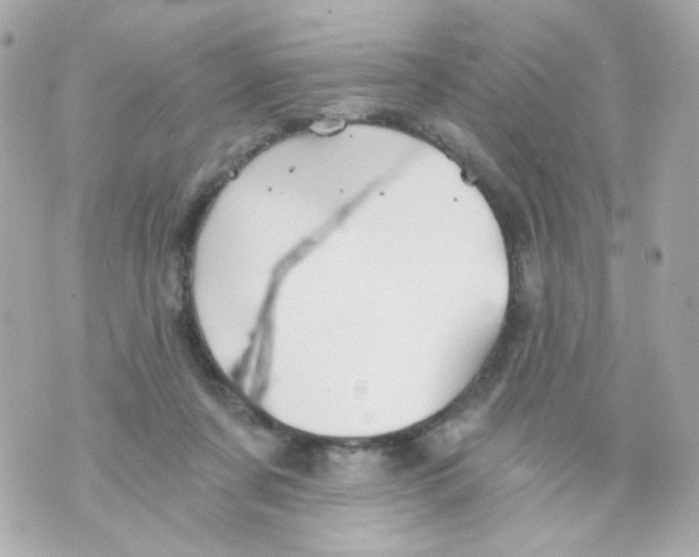 X0000069830311200606161947