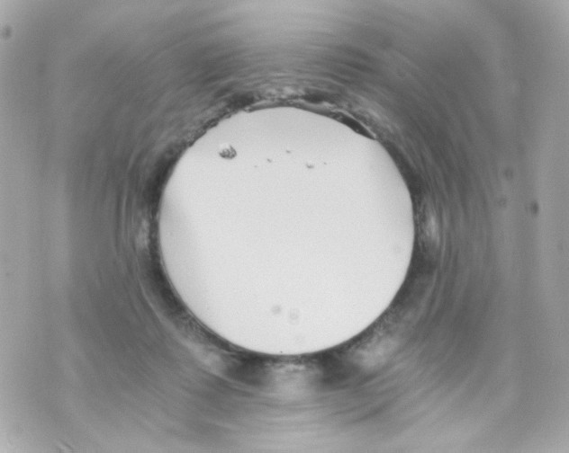 X0000069830315200606161947