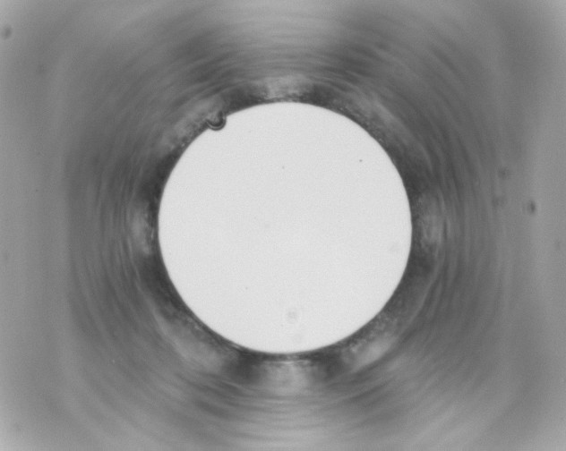 X0000069830316200606161947