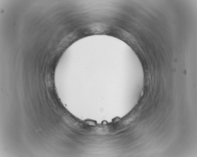 X0000069830317200606161947