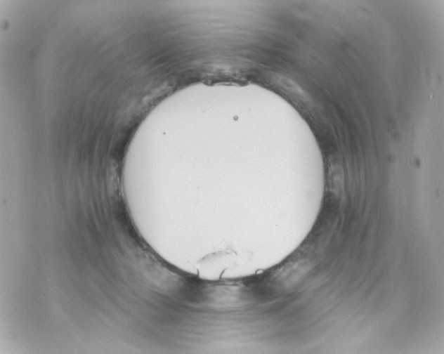 X0000069830318200606161947