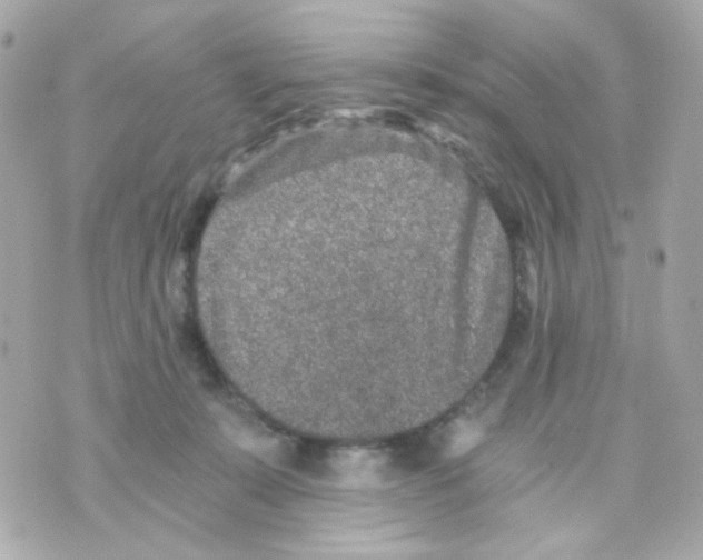 X0000069830319200606161947