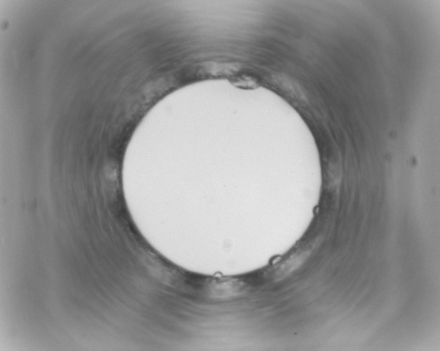 X0000069830321200606161947