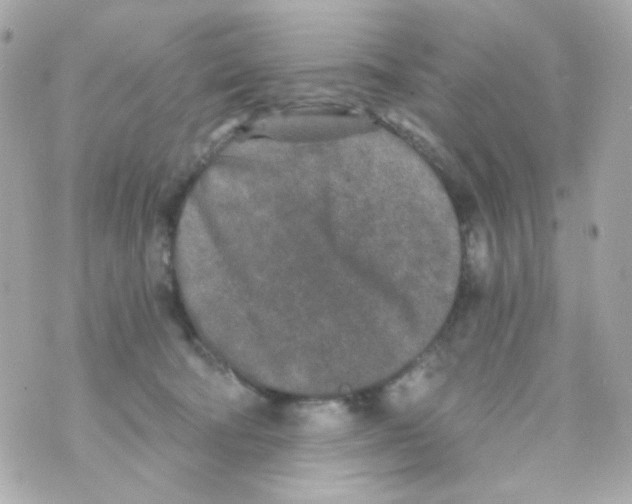 X0000069830322200606161947