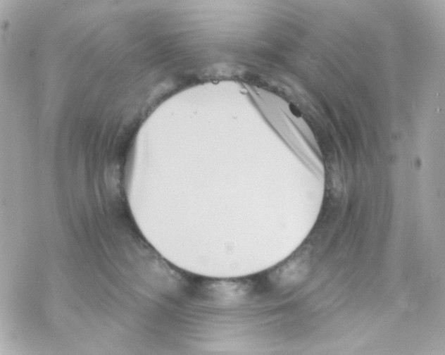 X0000069830326200606161947