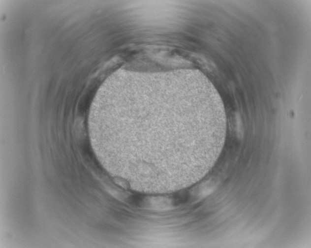 X0000069830327200606161947