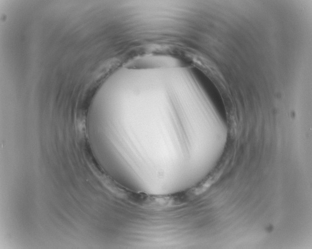 X0000069830329200606161947