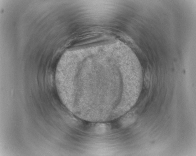 X0000069830330200606161947