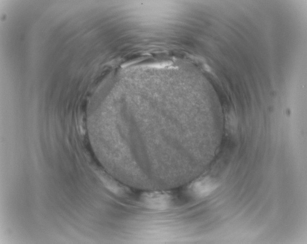 X0000069830331200606161947