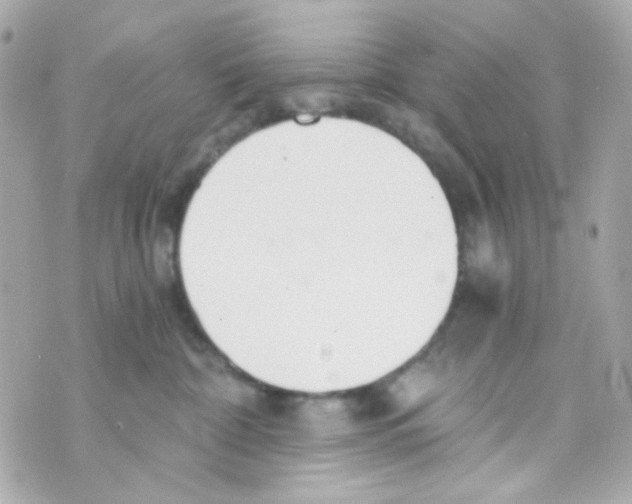 X0000069830332200606161947