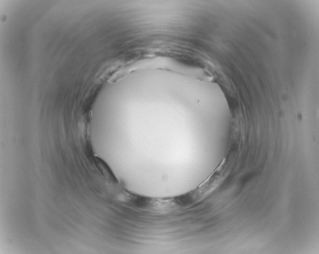 X0000069830333200606161946