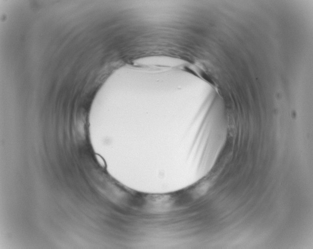 X0000069830334200606161946