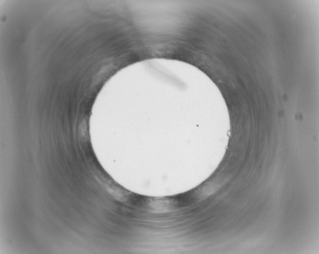 X0000069830336200606161946