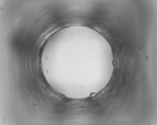 X0000069830338200606161946