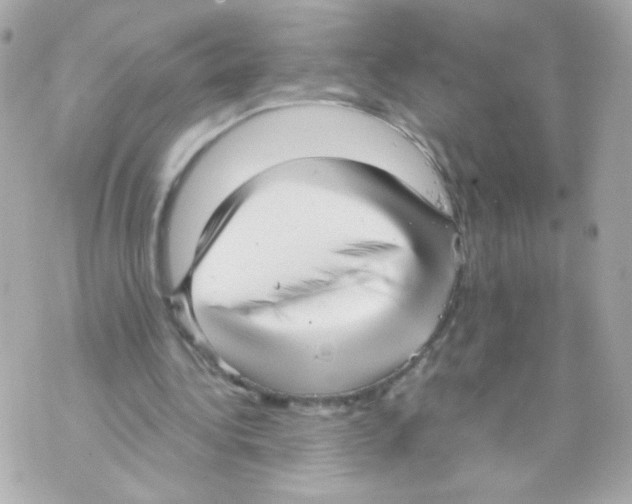 X0000069830340200606161946