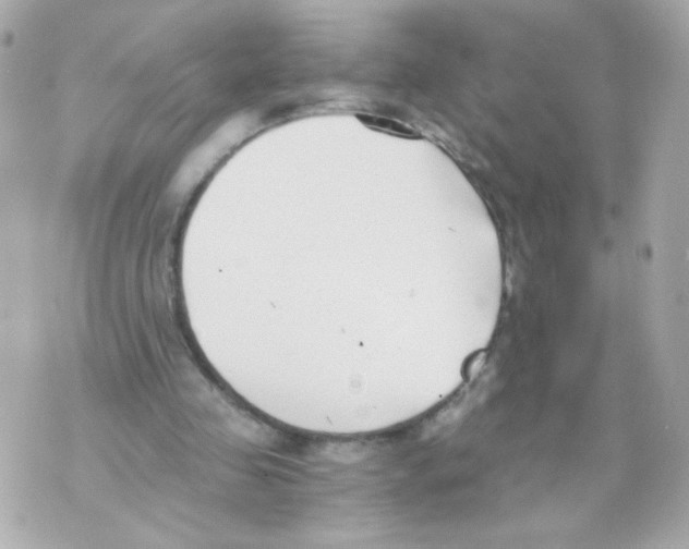 X0000069830341200606161946