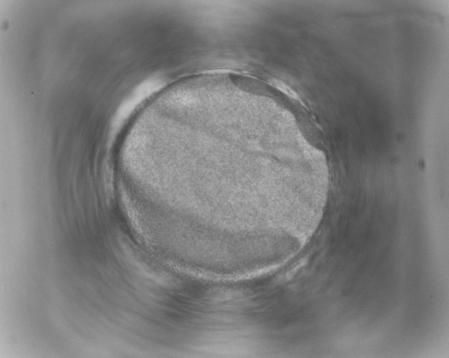 X0000069830343200606161946