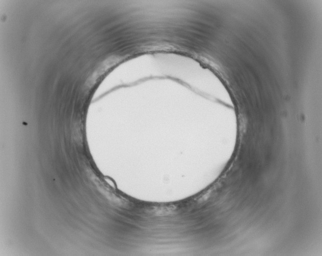 X0000069830345200606161946