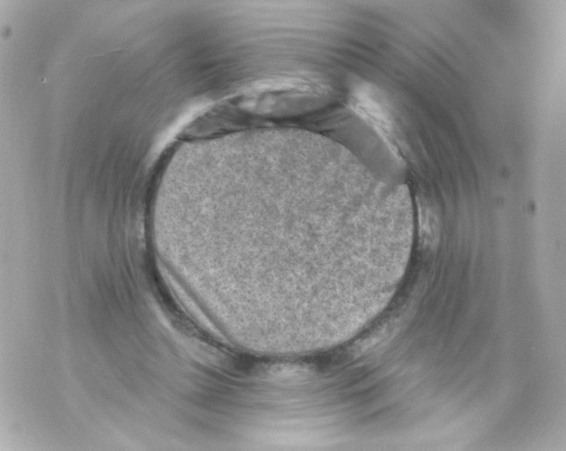 X0000069830348200606161946