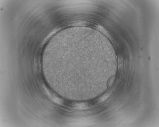 X0000069830349200606161946