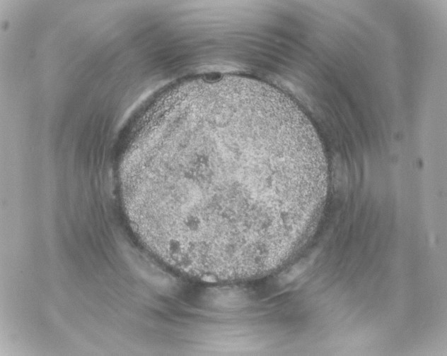 X0000069830351200606161946