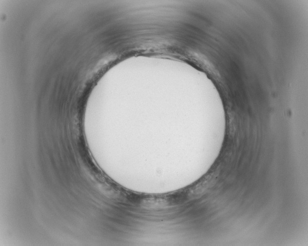 X0000069830354200606161946