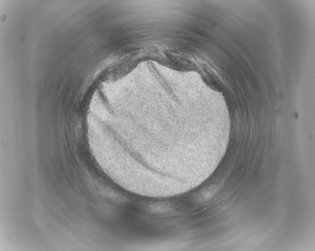 X0000069830355200606161946