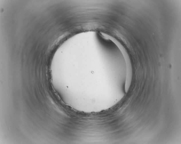 X0000069830356200606161946