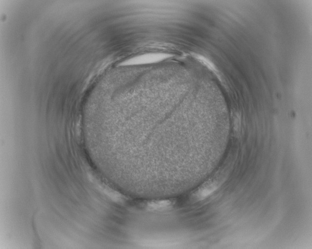 X0000069830357200606161946