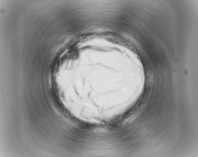 X0000069830358200606161946