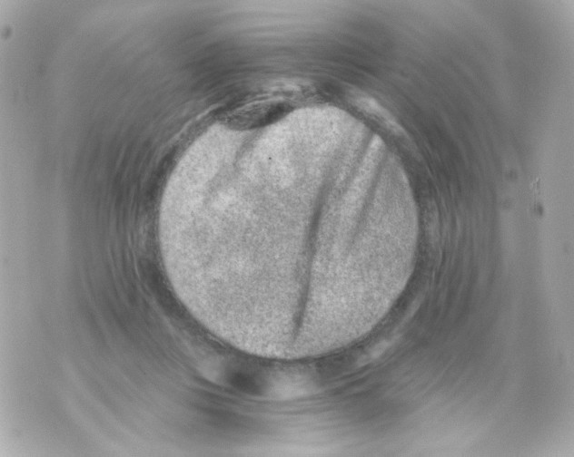 X0000069830359200606161946