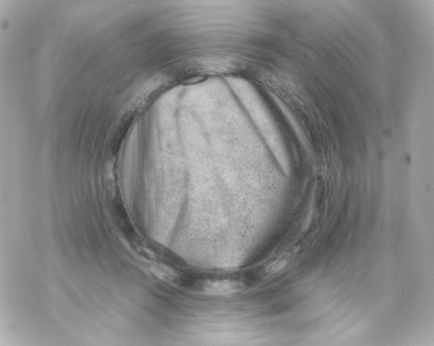 X0000069830360200606161946