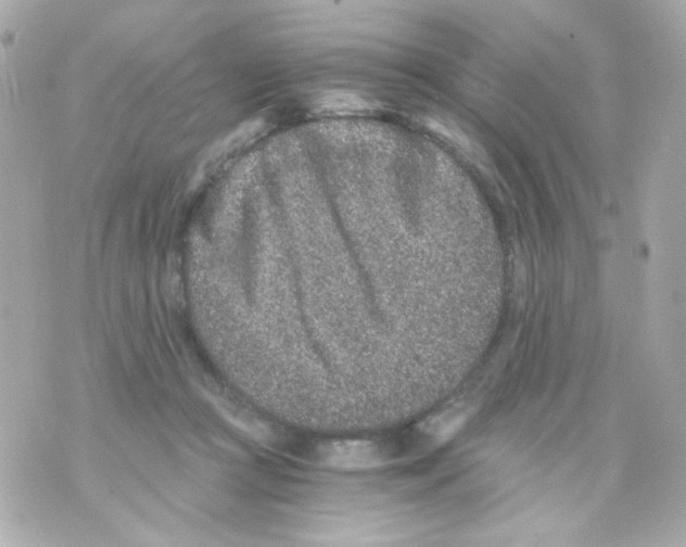 X0000069830361200606161946