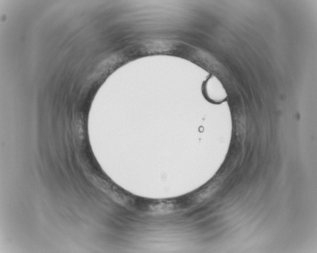 X0000069830362200606161946