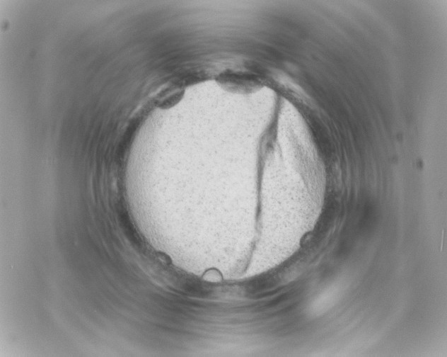 X0000069830363200606161946