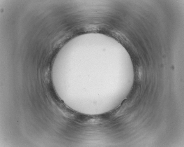 X0000069830364200606161946