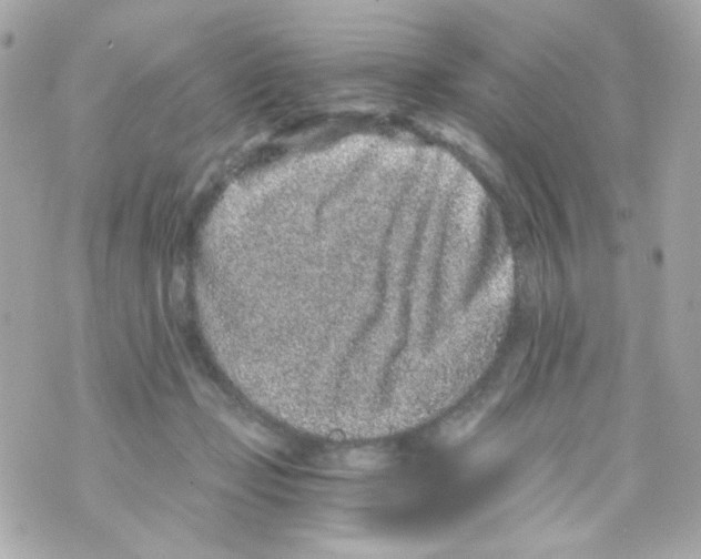 X0000069830365200606161946