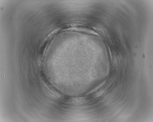 X0000069830367200606161946